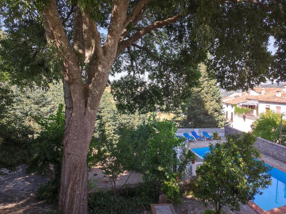 格拉茨莱马Casa Pomar - Preciosa Casa Con Piscina Y Vistas A La Sierra别墅 外观 照片